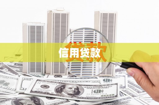 松溪信用贷款