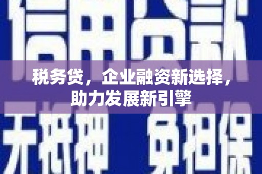 汐止税务贷，企业融资新选择，助力发展新引擎