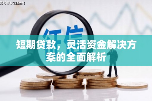 云龙短期贷款，灵活资金解决方案的全面解析