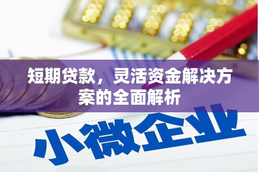 从江短期贷款，灵活资金解决方案的全面解析