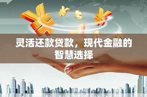 湖南灵活还款贷款，现代金融的智慧选择
