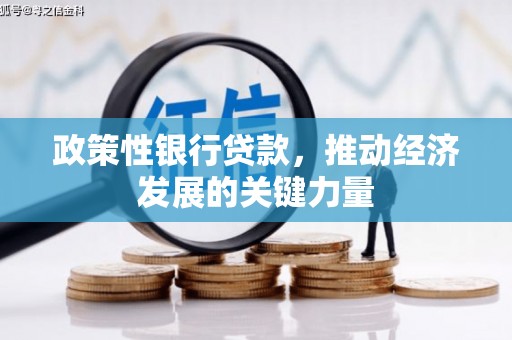 潍城政策性银行贷款，推动经济发展的关键力量
