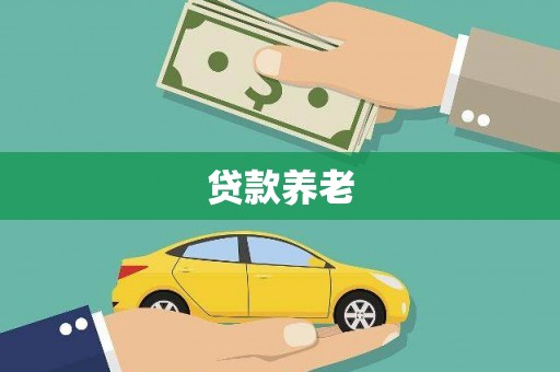 钟祥贷款养老