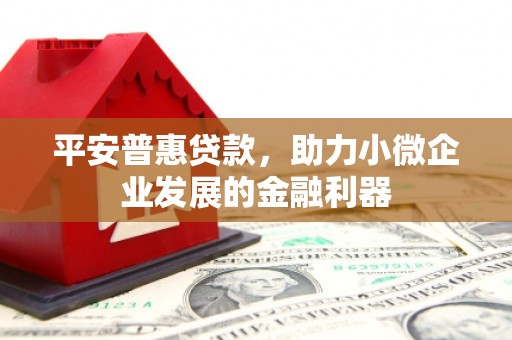 山东平安普惠贷款，助力小微企业发展的金融利器