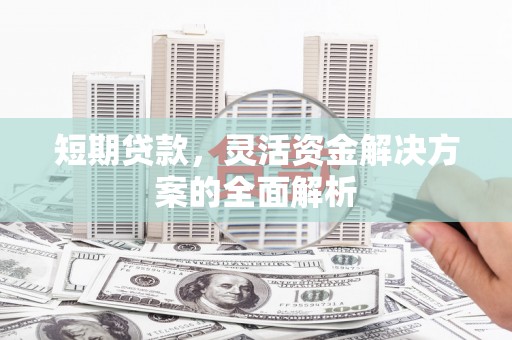 泸州短期贷款，灵活资金解决方案的全面解析