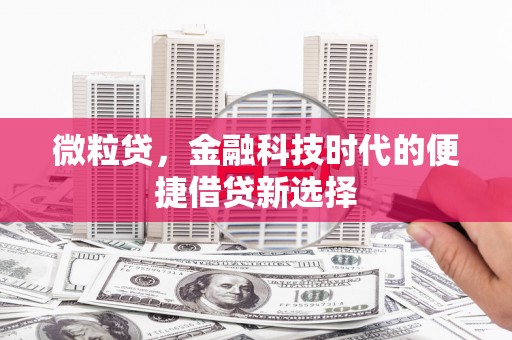 定西微粒贷，金融科技时代的便捷借贷新选择
