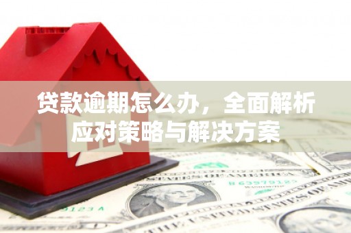 番路贷款逾期怎么办，全面解析应对策略与解决方案