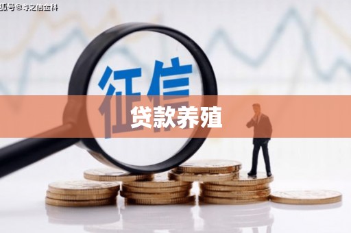 金寨贷款养殖