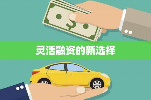 道里灵活融资的新选择
