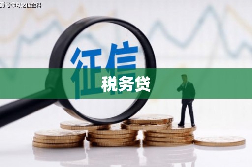 洋县税务贷