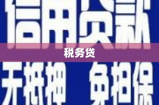 新营税务贷